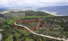 Shared field in mousere, Paphos 