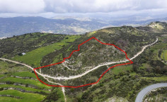 Shared field in mousere, Paphos 