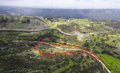Shared field in mousere, Paphos 