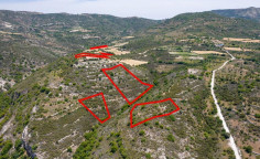 Agricultural 17980 m2 for sale in Dora