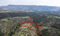 Fields in Dora, Limassol 