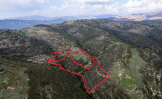 Fields in Dora, Limassol 