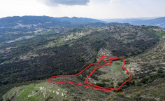 Fields in Dora, Limassol 