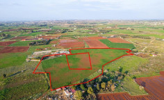 Shared agricultural fields in Frenaros, Famagusta 