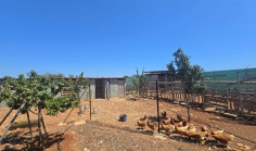 Land 2368 m2 for sale in Paralimni, Famagusta