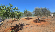 Land 2368 m2 for sale in Paralimni, Famagusta