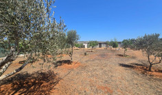 Land 2368 m2 for sale in Paralimni, Famagusta