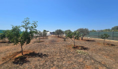 Land 2368 m2 for sale in Paralimni, Famagusta