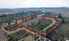 Residential field in Kato Deftera, Nicosia , Nicosia