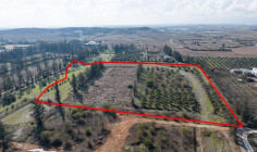 Residential field in Kato Deftera, Nicosia , Nicosia