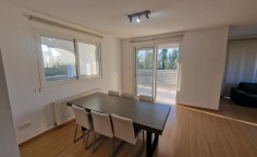 Spacious 3 apartment to rent in Strovolos
