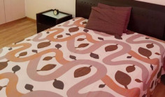 Spacious 2 bedrooms apartment to rent in Aglantzia