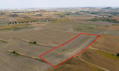 Shared agricultural field in Pera, Nicosia Shared agricultural field in Pera, Nicosia