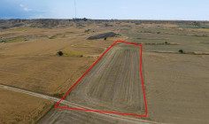 Shared agricultural field in Pera, Nicosia Shared agricultural field in Pera, Nicosia