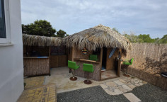 Spacious 3 bedrooms house for sale in Frenaros
