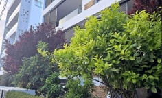 Beautiful 2 bedrooms apartment to rent in Engomi