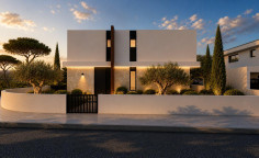 Spacious 3 bedroom house for sale in Palaiometocho