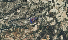 Large 19675 m2 field for sale in Laneia , Limassol