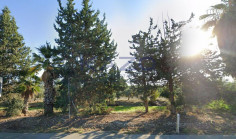 Large residential field in Polis Chrysochous , Paphos