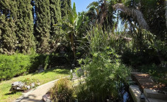4 house for sale in Paralimni