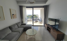 Prestigious 2 bedroom apartment for rent in Linopetra 