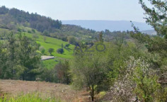 Large 2676m2 field for sale in Lysos village , Paphos Large 2676m2 field for sale in Lysos village , Paphos