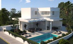 Stunning Agios Tychonas villa with pool and gym 