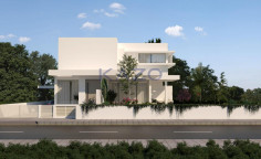 Stunning Agios Tychonas villa with pool and gym 