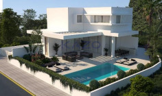 Stunning Agios Tychonas villa with pool and gym 