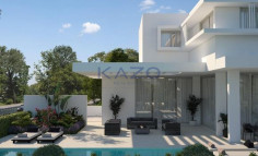 Stunning Agios Tychonas villa with pool and gym 