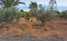 Luxury 3 bedroom house for sale in Ayioi Trimithias Luxury 3 bedroom house for sale in Ayioi Trimithias