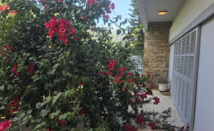 Spacious 4 bedroom house for sale in Ayios Andreas Spacious 4 bedroom house for sale in Ayios Andreas