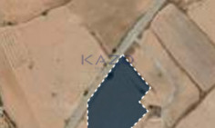 Large sea view field for sale in Softades , Larnaca Large sea view field for sale in Softades , Larnaca