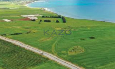 Large sea front field 83325m2 in Softades , Larnaca
