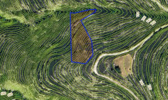 Large 3679m2 field for sale in Lofou village (landlocked) , Limassol