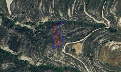 Large 3679m2 field for sale in Lofou village (landlocked) , Limassol
