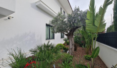 Spacious 6 bedroom house to rent in Engomi Spacious 6 bedroom house to rent in Engomi