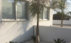 Beautiful 1 bedrooms apartment to rent in Engomi Beautiful 1 bedrooms apartment to rent in Engomi