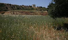 Beautiful land to buy in Pissouri, Limassol