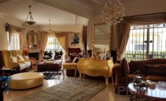 5 bedroom furnished villa with swimming pool for sale in Armenochori