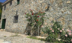 Rustic 5 bedroom stone-built furnished villa for rent in Moniatis 