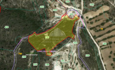 Luxury agricultural for sale in Agios Athanasios