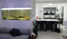 Beautiful 2 bedrooms apartment for sale in Agia Fyla