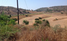 Residential 6621 m2 for sale in Parekklisia, Limassol