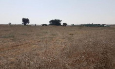 (agricultural) in Avgorou, Famagusta for sale , Famagusta