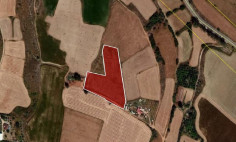 (agricultural) in Avgorou, Famagusta for sale , Famagusta