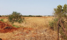 Spacious residential for sale in Liopetri, Famagusta