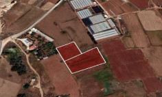 (agricultural) in Frenaros, Famagusta for sale , Famagusta