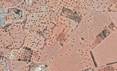 Residential 9031 m2 for sale in Mazotos, Larnaca