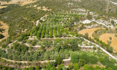(agricultural) in Skarinou, Larnaca for sale , Larnaca